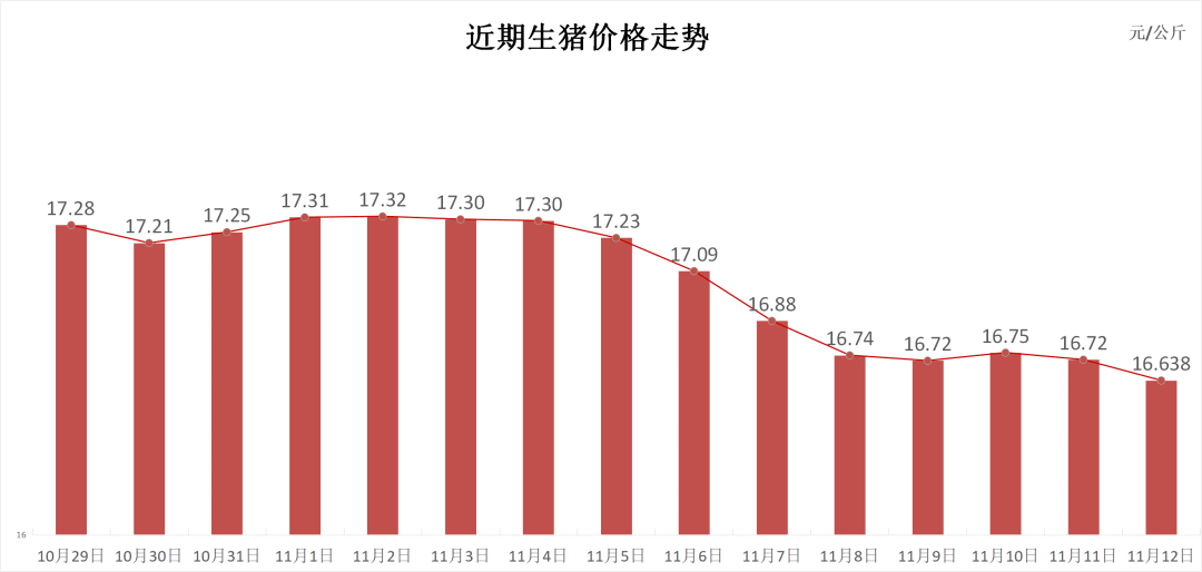 每日猪讯11.12