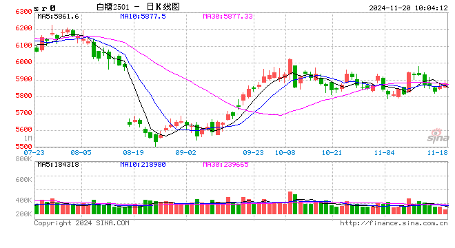 光大期货：11月20日软商品日报