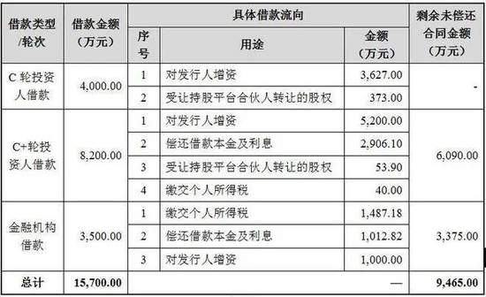 胜科纳米IPO：实控人举债增持公司股份，二十年押上全部身家，办出“芯片全科医院”